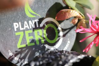 Gift Plant Voucher100