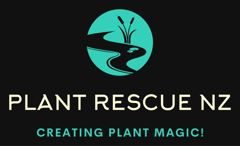 Plant Zero wholesale Nursery Auckland, Organics Re-cycling, Up-cycling, Delivery Nationwide